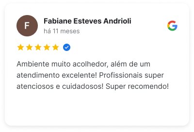 Review 11 (geral) — Fabiane Esteves Andrioli